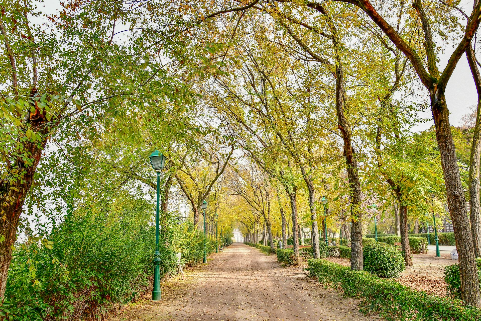 Restaurant pour groupe Albert Hauts-de-France