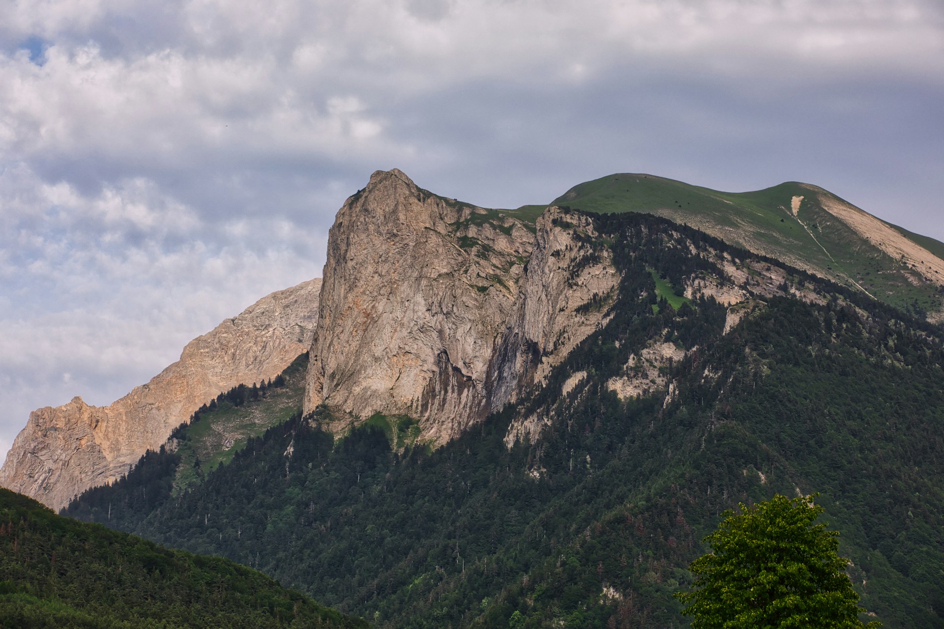 Restaurant pour groupe Le Mont-D’Or Auvergne-Rhône-Alpes