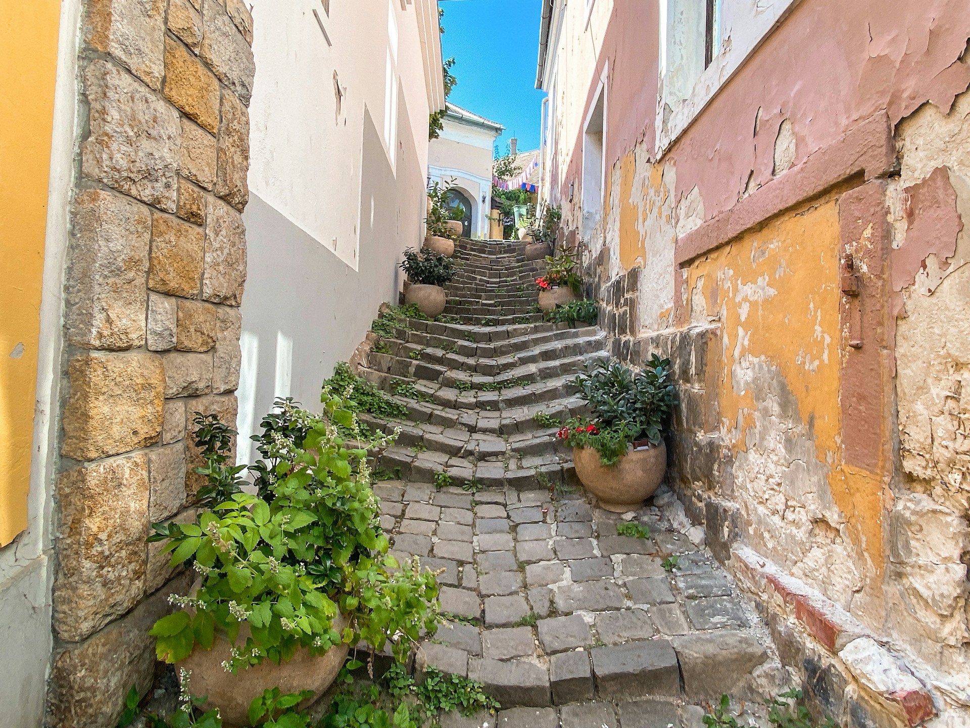 Restaurant pour groupe Rodez Occitanie