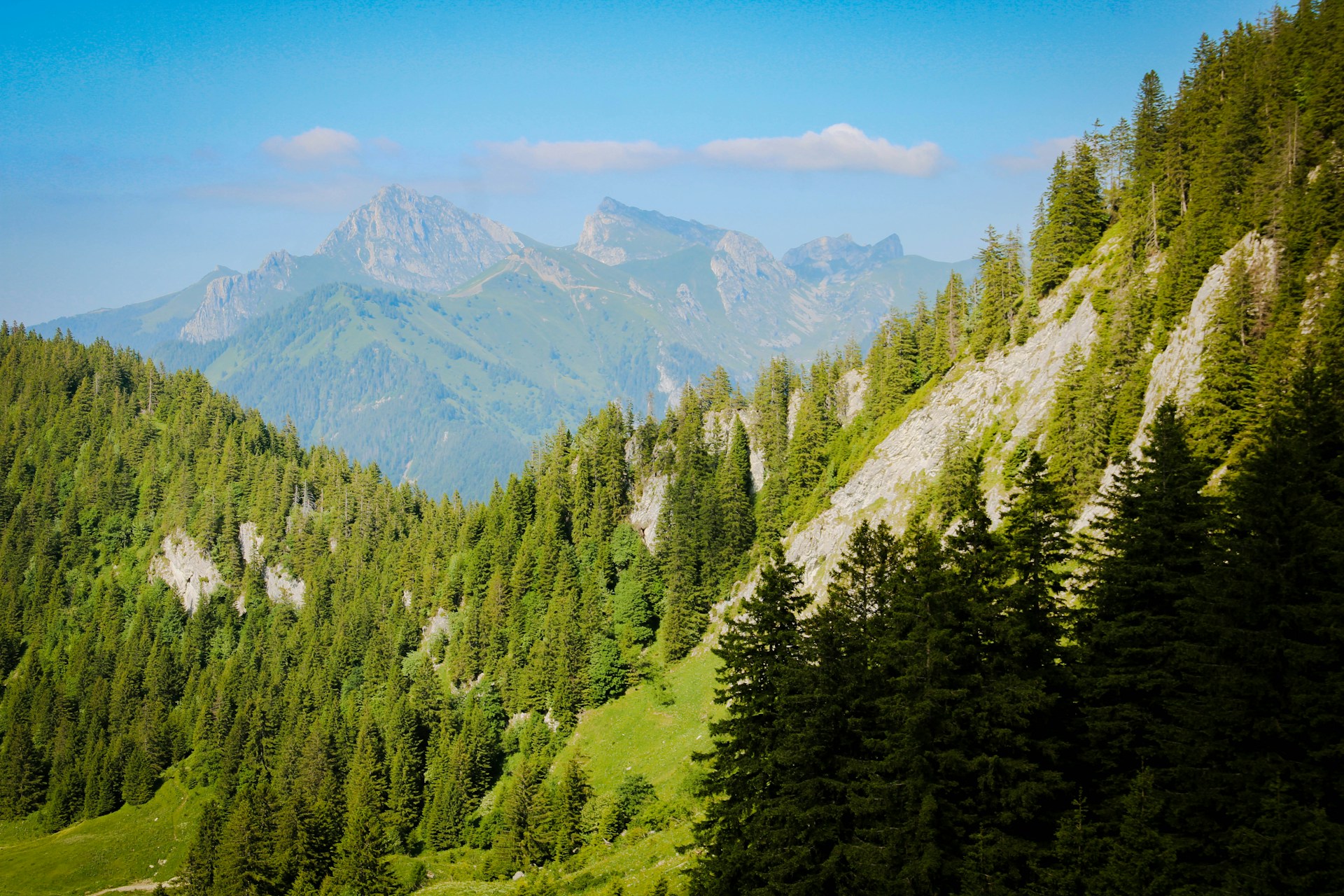 Restaurant pour groupe Thonon-les-Bains Auvergne-Rhône-Alpes
